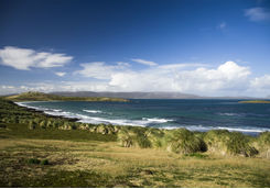 East Falkland Island