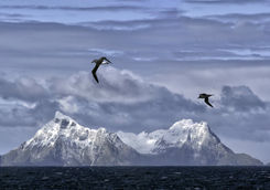 South Georgia Island