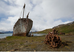 Old whaling station Grytviken