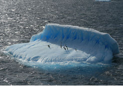 Iceberg in Drake Passage