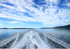 Stern of cruise ship cruising the Beagle channel