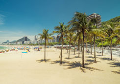 Palm trees on Copacabana Beach