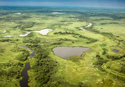 Aerial view of Pantanal wetlands
