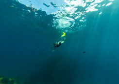 Free Diving in Fernando de Noronha