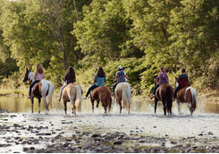 Ranch in British Columbia