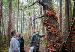 Children exploring Vancouver Island