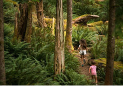 Exploring Vancouver Island