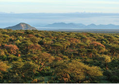 Laikipia landscape