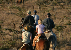 Borana horse safari