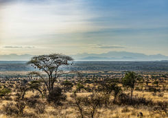Samburu land
