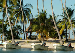 Manda boats in a row