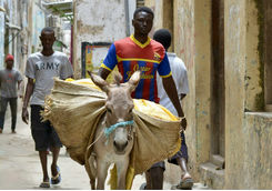 Lamu town street