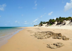 Lamu beach