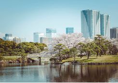 Hamarikyu gardens