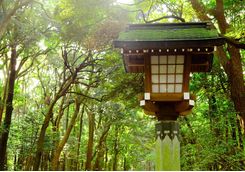 Nikko National Park lanterns