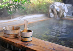 Ryokan bath