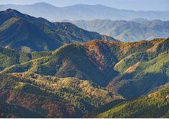 Kyosan landscape