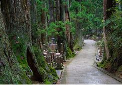 Okunoin cemetery