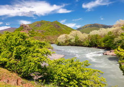 river fields nature