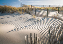 sand dunes cape cod