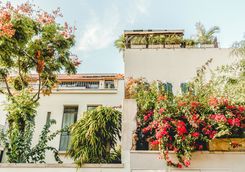 old town jaffa houses