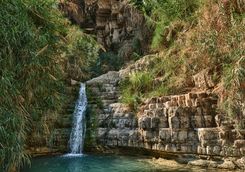 ein ged israel