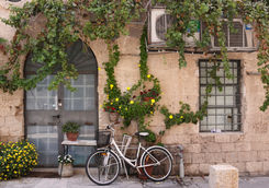 jaffa street bicycle