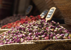 dried flowers market tel aviv