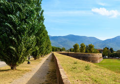 Lucca city walls