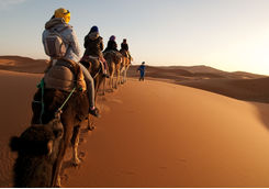 Camel Ride