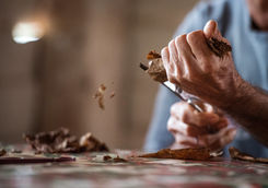 making a cigar