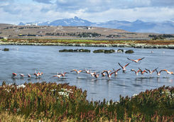 laguna niemez in el calafate