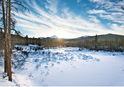 land near fraser in the snow