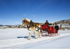 horse sleigh ride