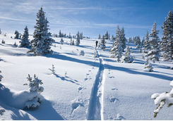 snow fun skiing
