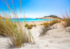 sandy beach