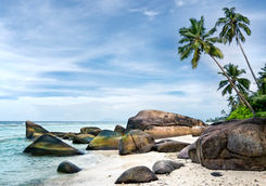 Palm fringed beach
