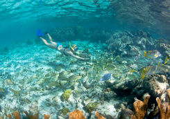 woman snorkel fish