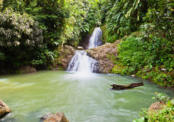 Nature pool, Grenada