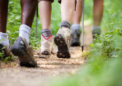 hiking in the woods
