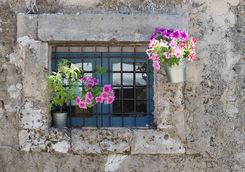 old window with flowers