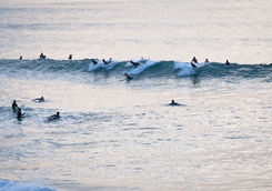 surfers at sunset