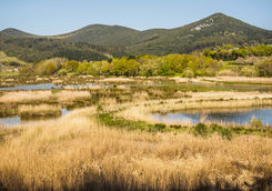 urdaibai bird center san sebastian