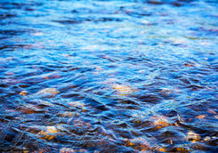 pebbles in a stream