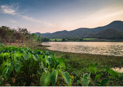 pai river