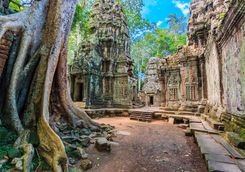ta prohm temple