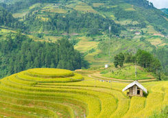countryside-rural