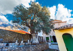 kruja fortress albania