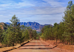 dry creek flinders