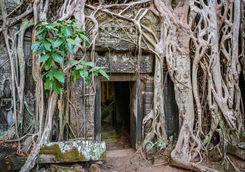 Entrance gate at Ta Prohm in Siem Reap